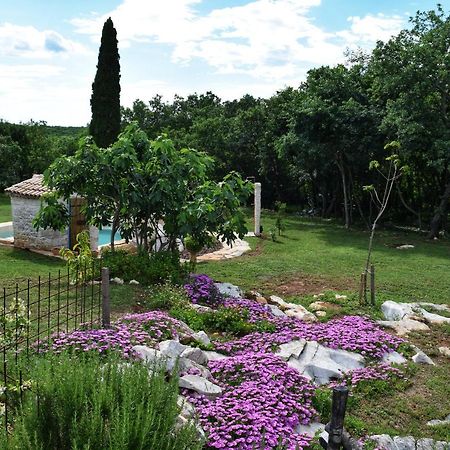 Cottage Al Merlo Olivo บูเย ภายนอก รูปภาพ