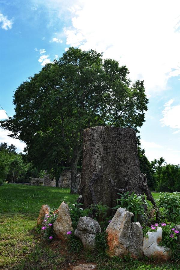 Cottage Al Merlo Olivo บูเย ภายนอก รูปภาพ