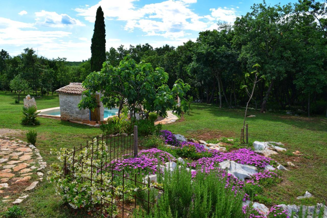 Cottage Al Merlo Olivo บูเย ภายนอก รูปภาพ