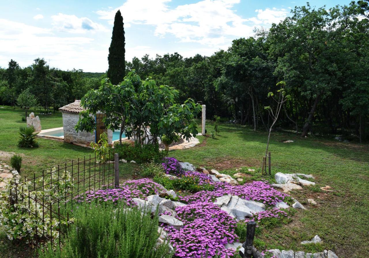 Cottage Al Merlo Olivo บูเย ภายนอก รูปภาพ