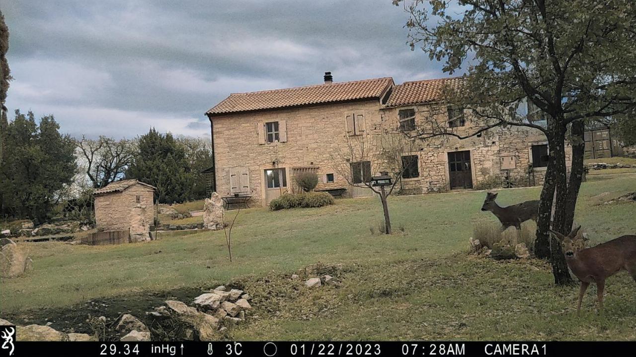 Cottage Al Merlo Olivo บูเย ภายนอก รูปภาพ