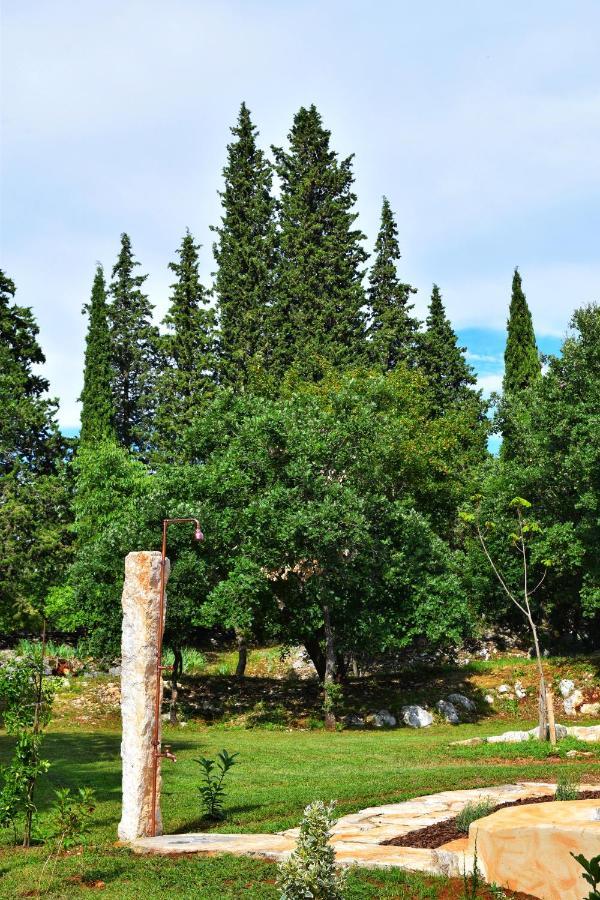 Cottage Al Merlo Olivo บูเย ภายนอก รูปภาพ